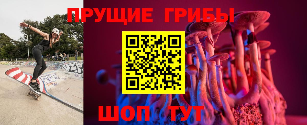 Галлюциногенные грибы MAGIC MUSHROOMS  Вход с VPN  Кудымкар 