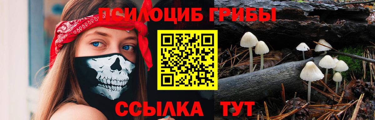 Псилоцибиновые грибы Magic Shrooms Кудымкар